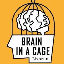 brain in a cage